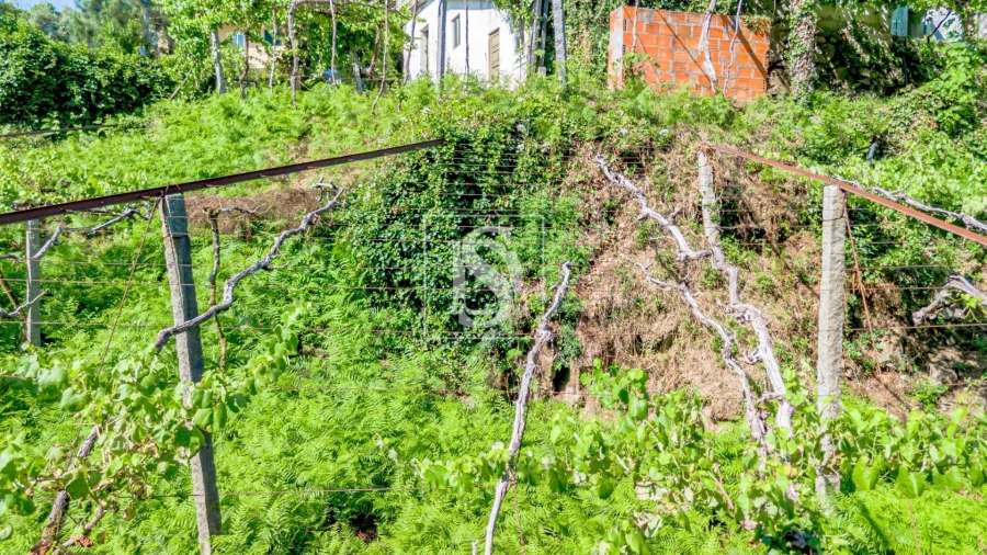 Moradia T3 para Venda em Amarante (São Gonçalo), Madalena, Cepelos e Gatão Foto 43