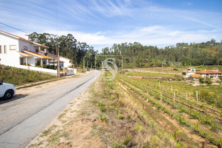 Terreno para Venda em Amarante (São Gonçalo), Madalena, Cepelos e Gatão Foto 7