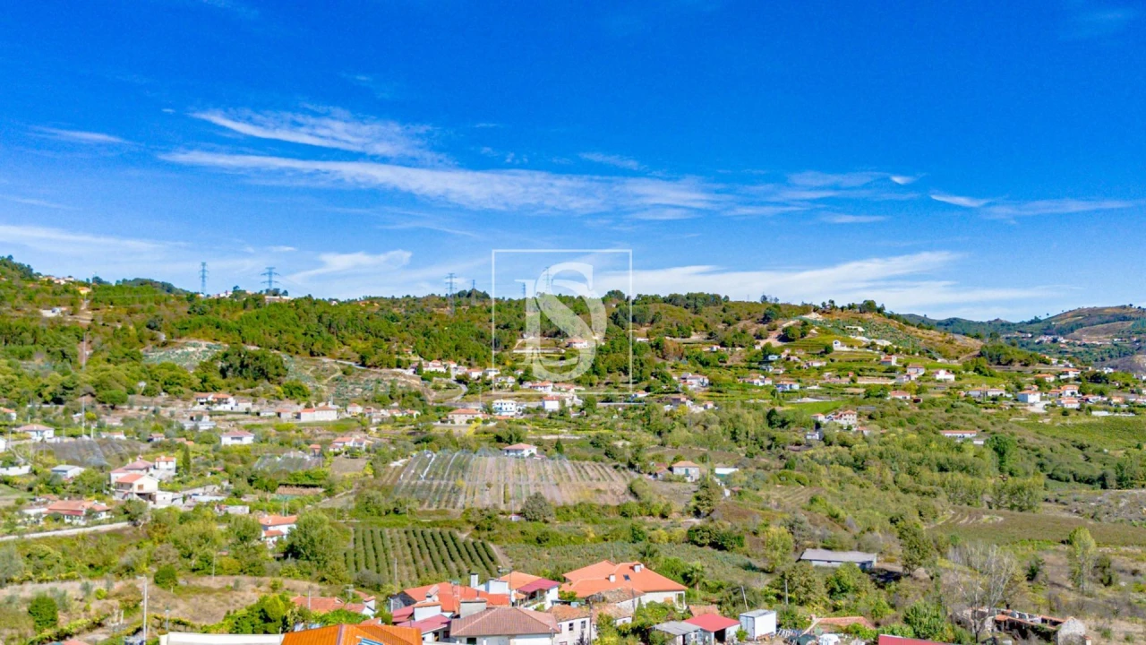 Terreno para Venda em Grilo Foto 18