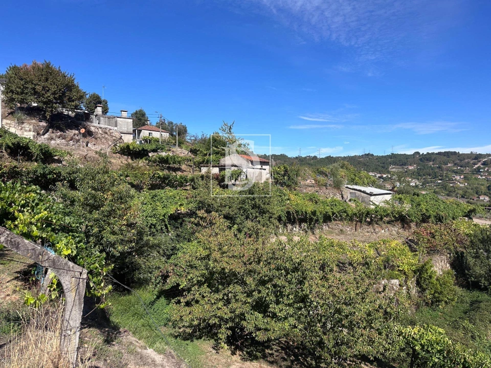 Terreno para Venda em Grilo Foto 34