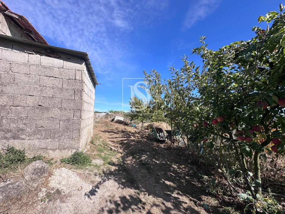 Terreno para Venda em Grilo Foto 40