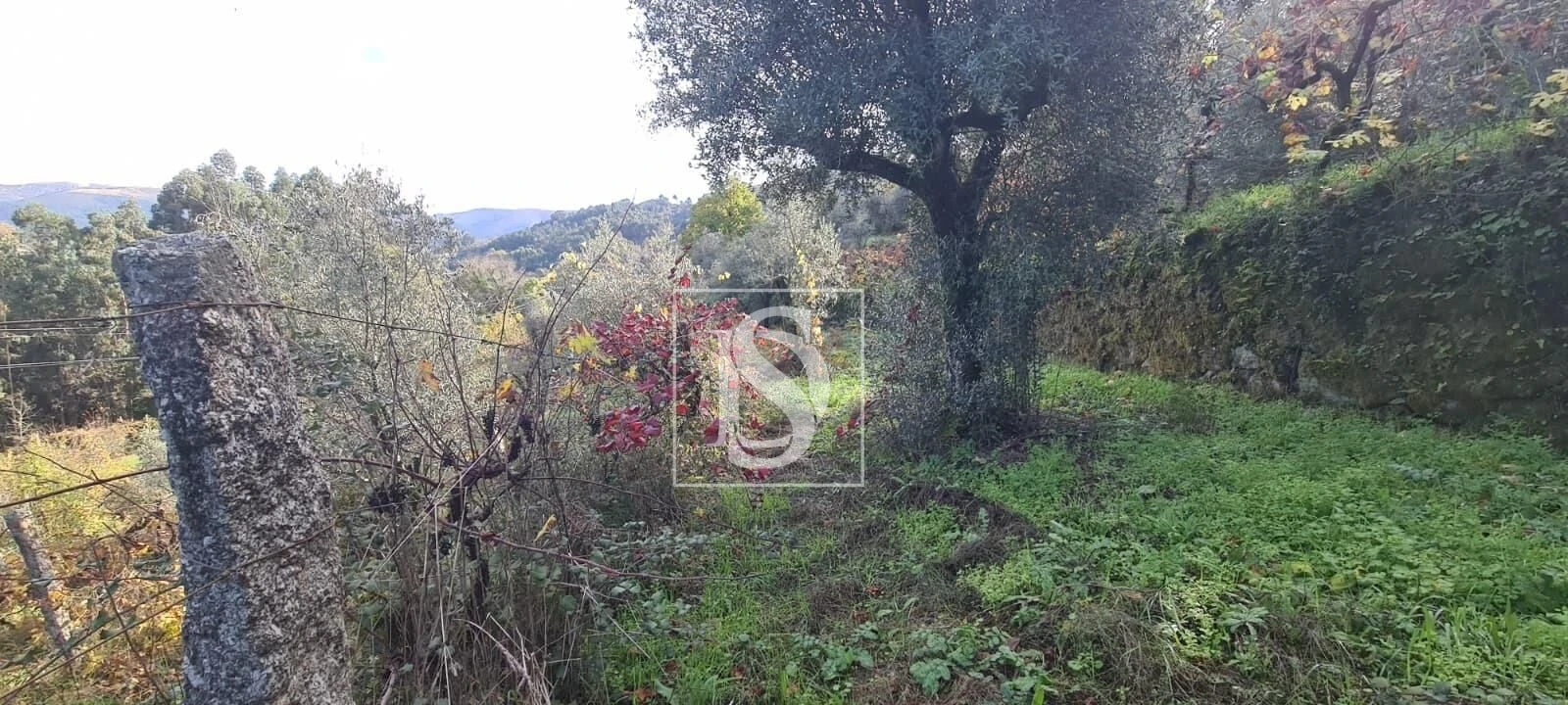Terreno Agricola ou Rústico para Venda em Candemil Foto 13