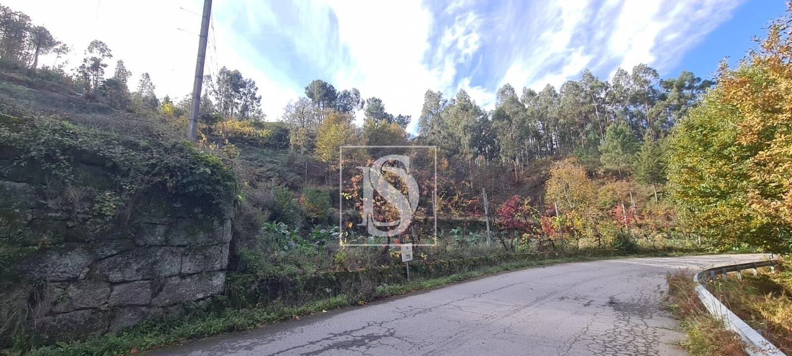 Terreno Agricola ou Rústico para Venda em Candemil Foto 2