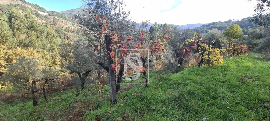 Terreno Agricola ou Rústico para Venda em Candemil Foto 10