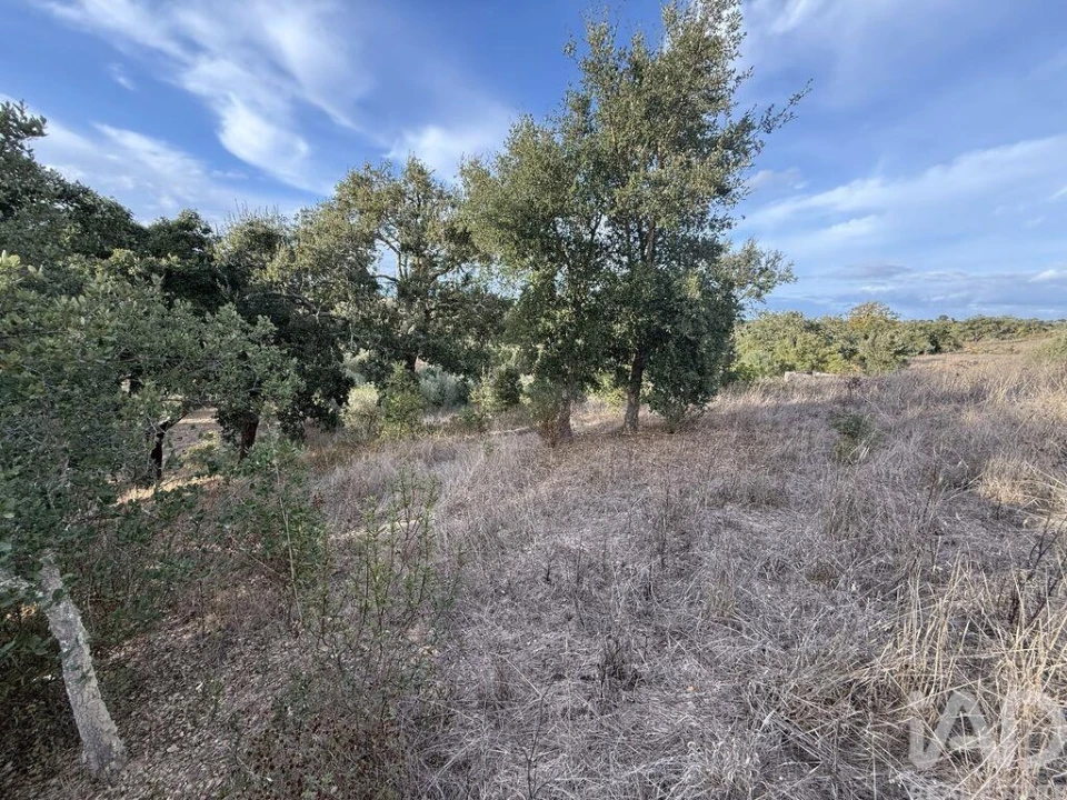 Quinta T3 para Venda em Colos Foto 19