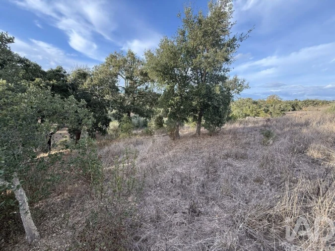 Quinta T3 para Venda em Colos Foto 19