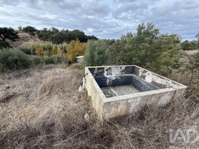 Quinta T3 para Venda em Colos Foto 17