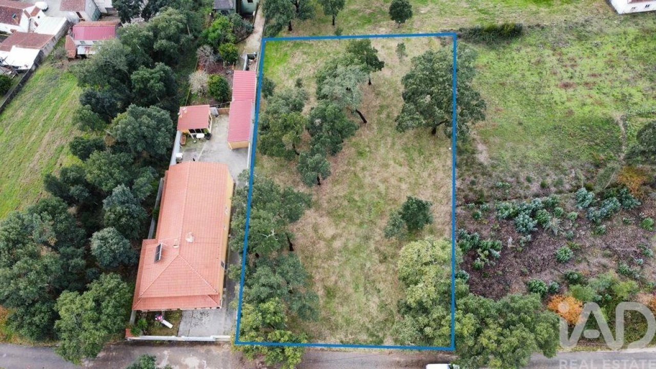 Terreno para Venda em Figueiró dos Vinhos e Bairradas Foto 5