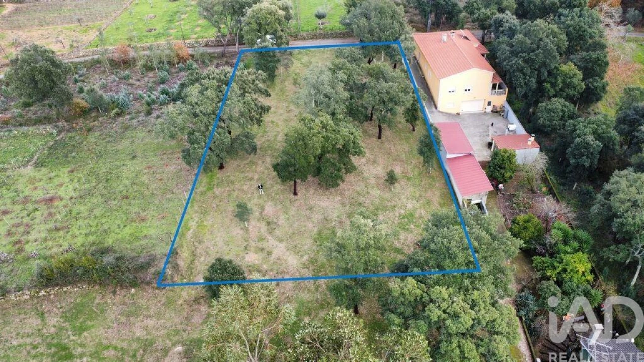 Terreno para Venda em Figueiró dos Vinhos e Bairradas Foto 4