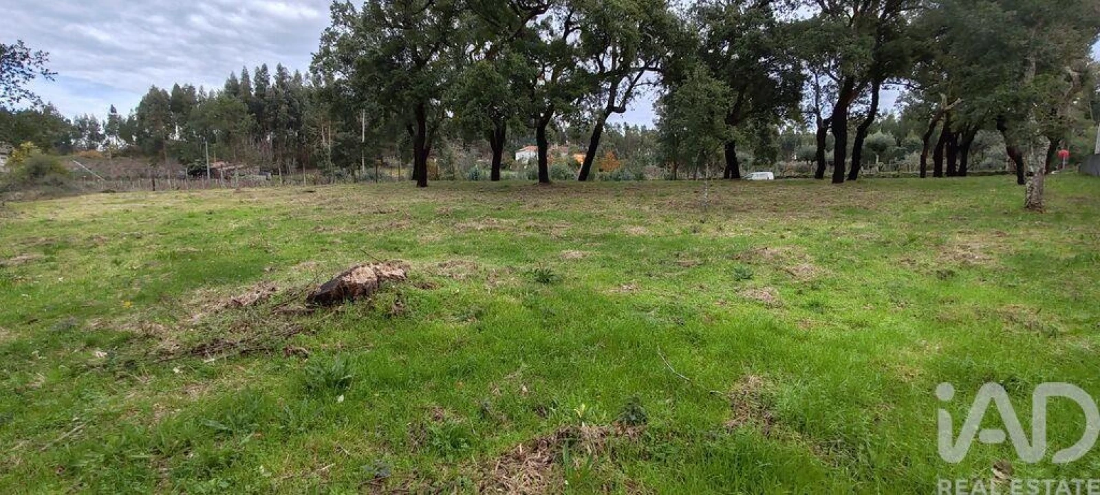 Terreno para Venda em Figueiró dos Vinhos e Bairradas Foto 14