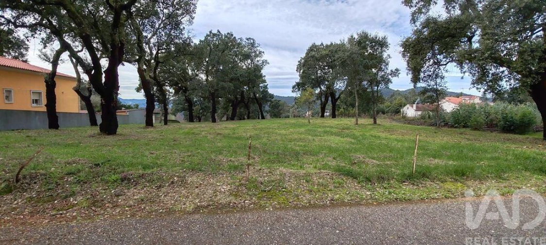 Terreno para Venda em Figueiró dos Vinhos e Bairradas Foto 8