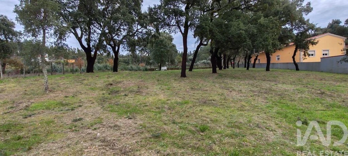 Terreno para Venda em Figueiró dos Vinhos e Bairradas Foto 13