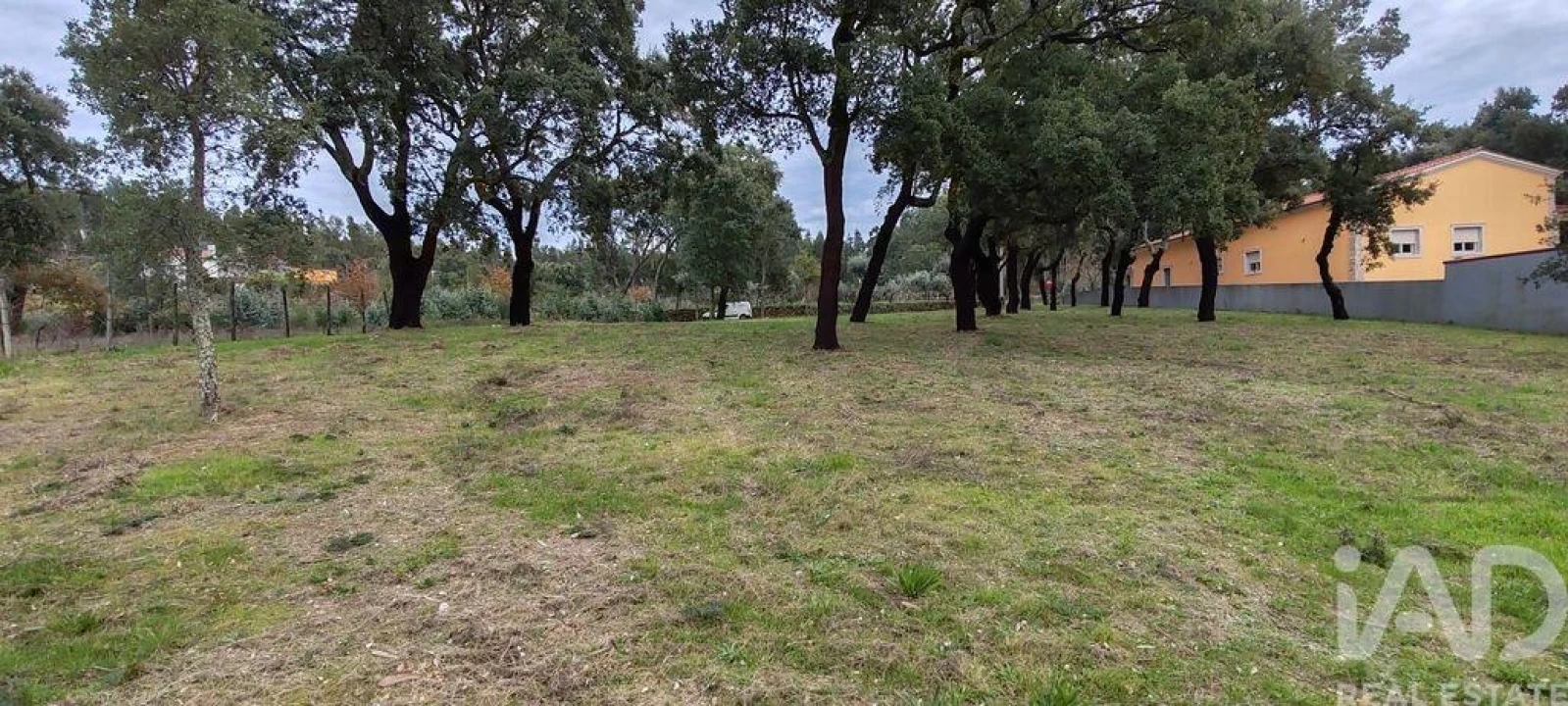 Terreno para Venda em Figueiró dos Vinhos e Bairradas Foto 13