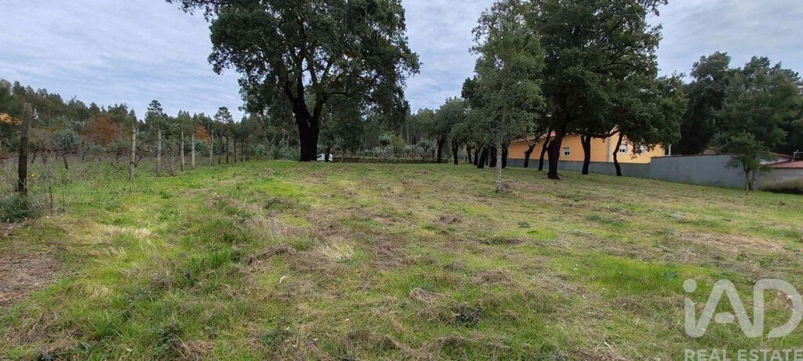 Terreno para Venda em Figueiró dos Vinhos e Bairradas Foto 12