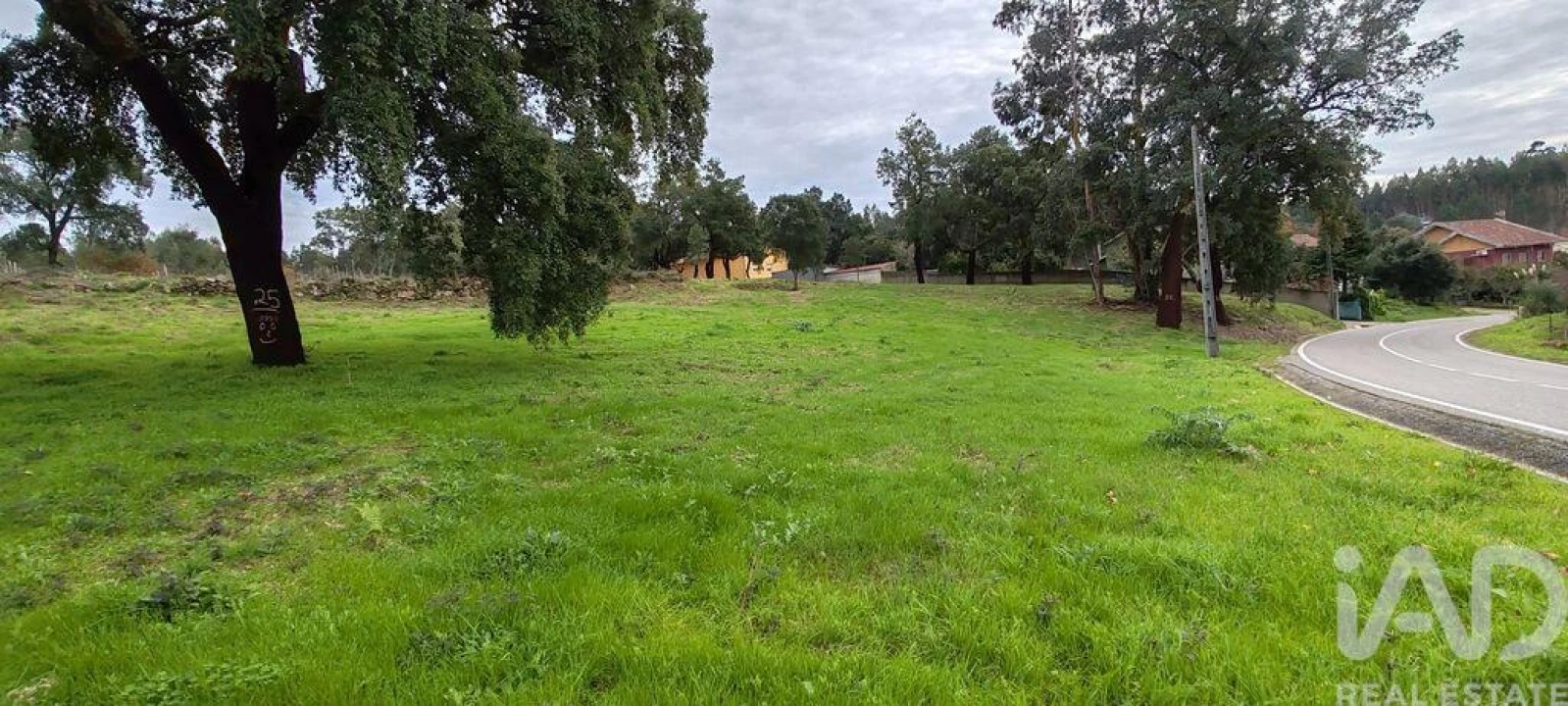 Terreno para Venda em Figueiró dos Vinhos e Bairradas Foto 11