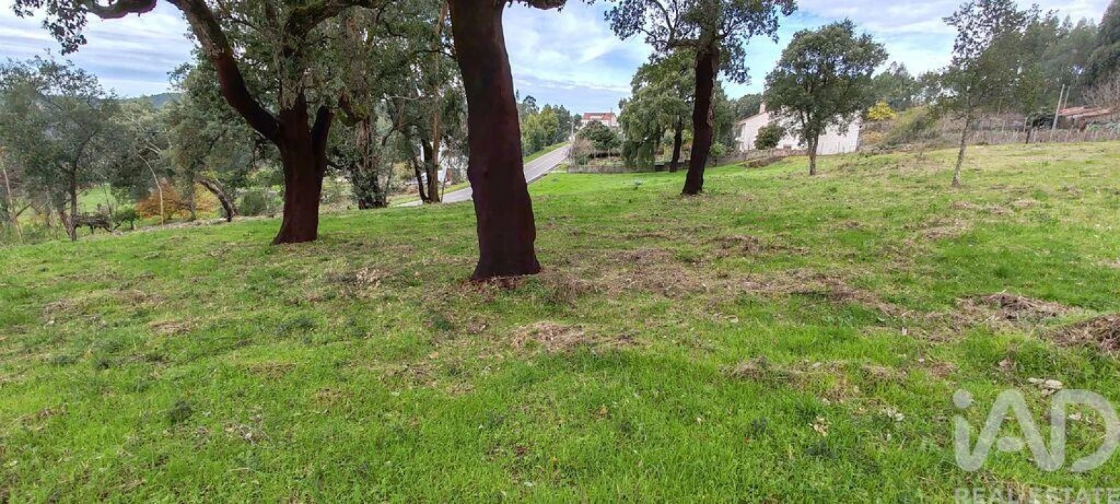 Terreno para Venda em Figueiró dos Vinhos e Bairradas Foto 6