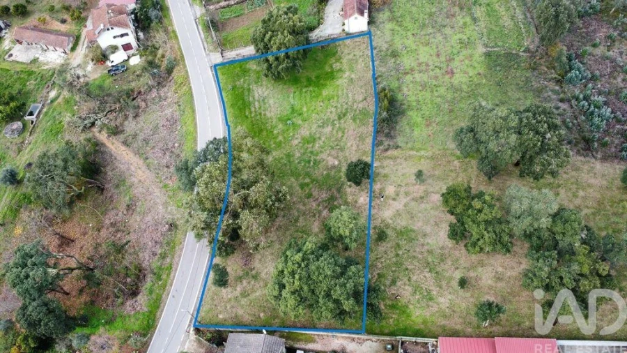 Terreno para Venda em Figueiró dos Vinhos e Bairradas Foto 4