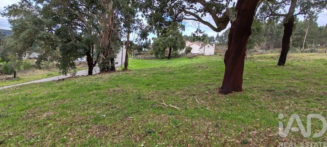 Terreno para Venda em Figueiró dos Vinhos e Bairradas Foto 7