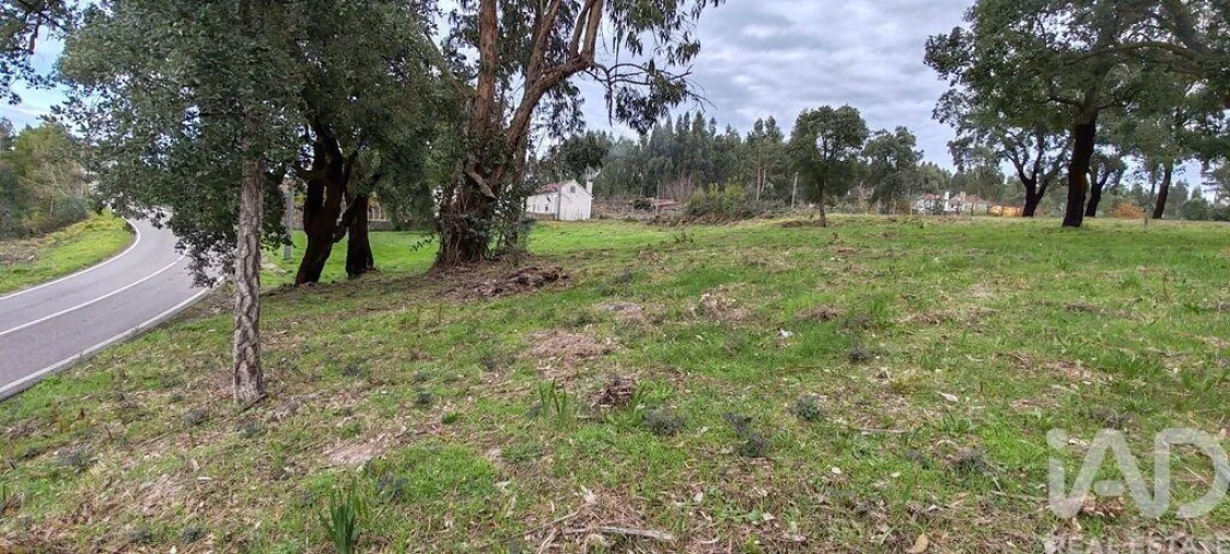Terreno para Venda em Figueiró dos Vinhos e Bairradas Foto 8