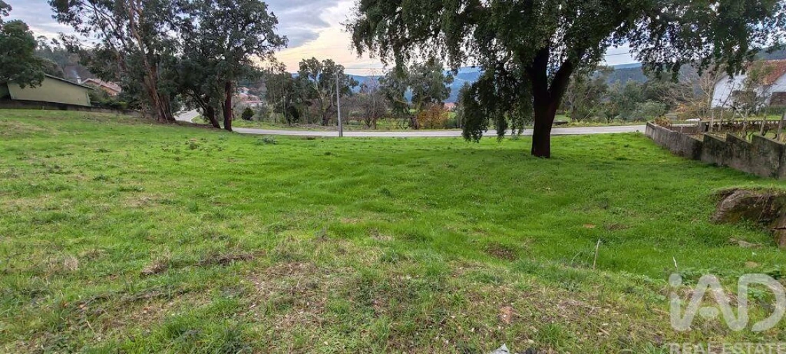 Terreno para Venda em Figueiró dos Vinhos e Bairradas Foto 13
