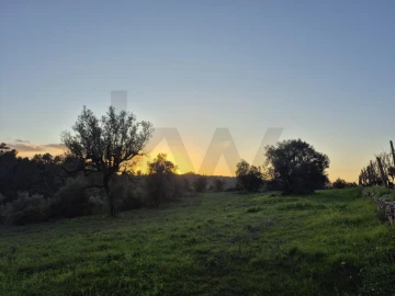 Terreno para Venda em Brasfemes