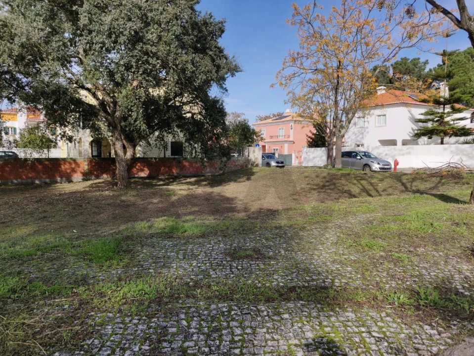 Terreno para Venda em Azeitão (São Lourenço e São Simão) Foto 7