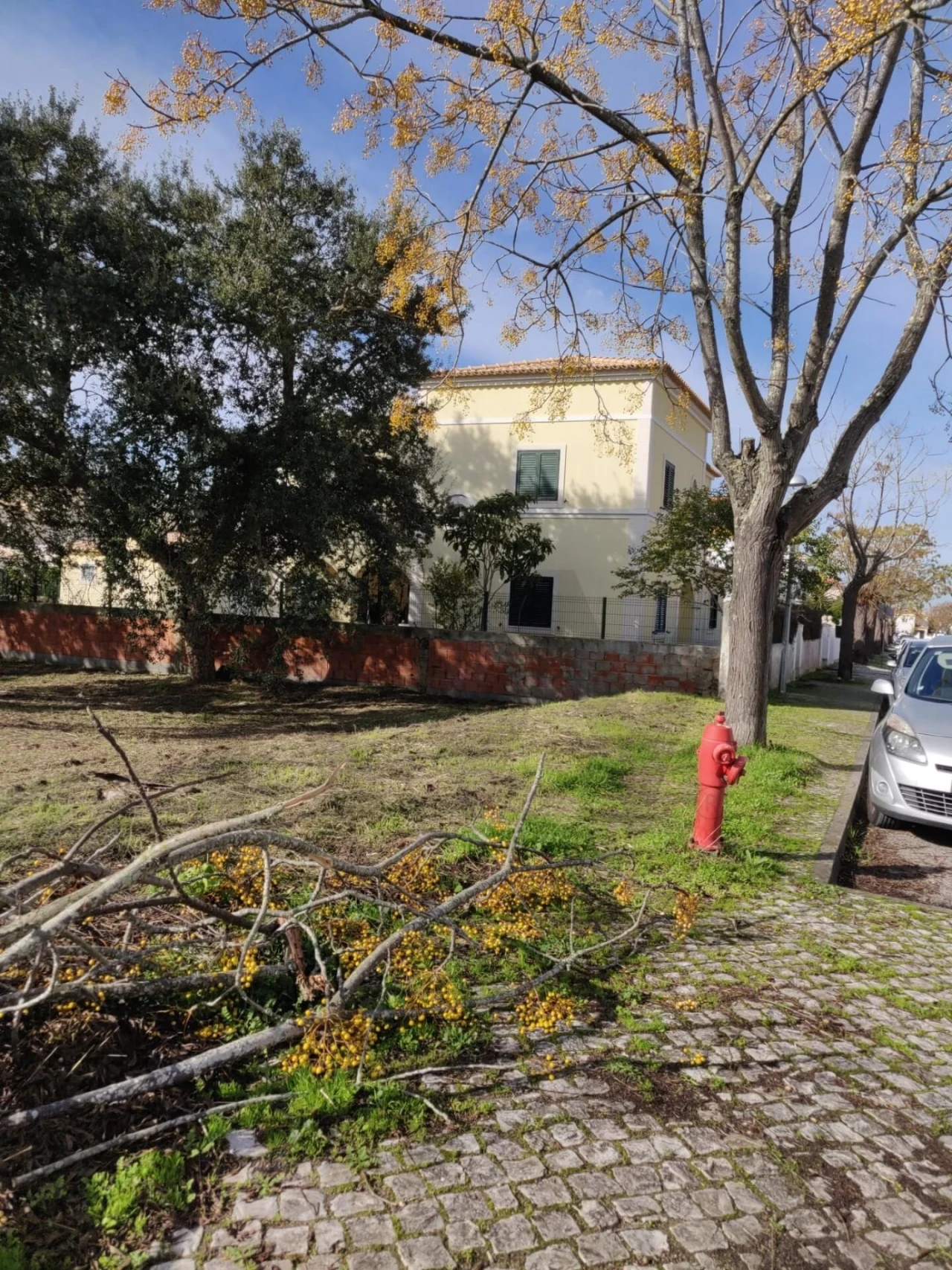 Terreno para Venda em Azeitão (São Lourenço e São Simão) Foto 9