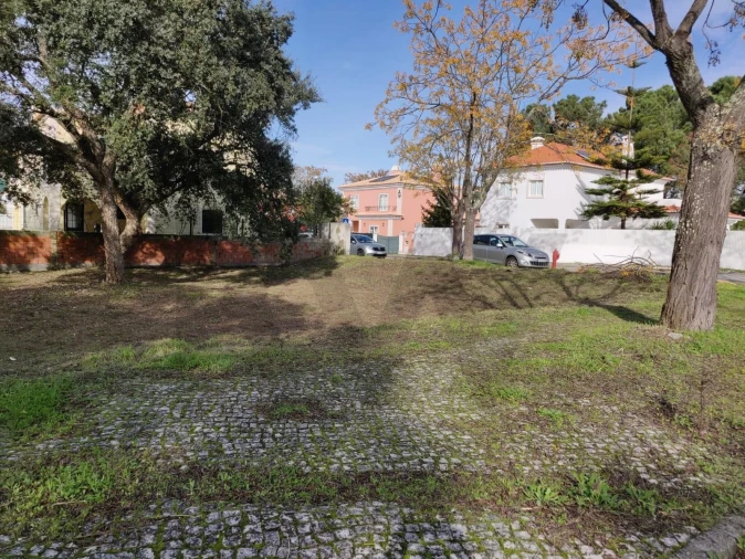 Terreno para Venda em Azeitão (São Lourenço e São Simão) Foto 2