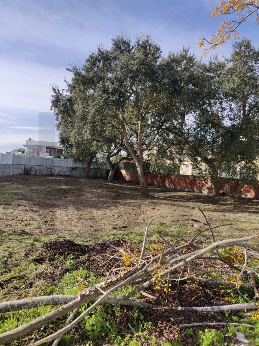 Terreno para Venda em Azeitão (São Lourenço e São Simão) Foto 10