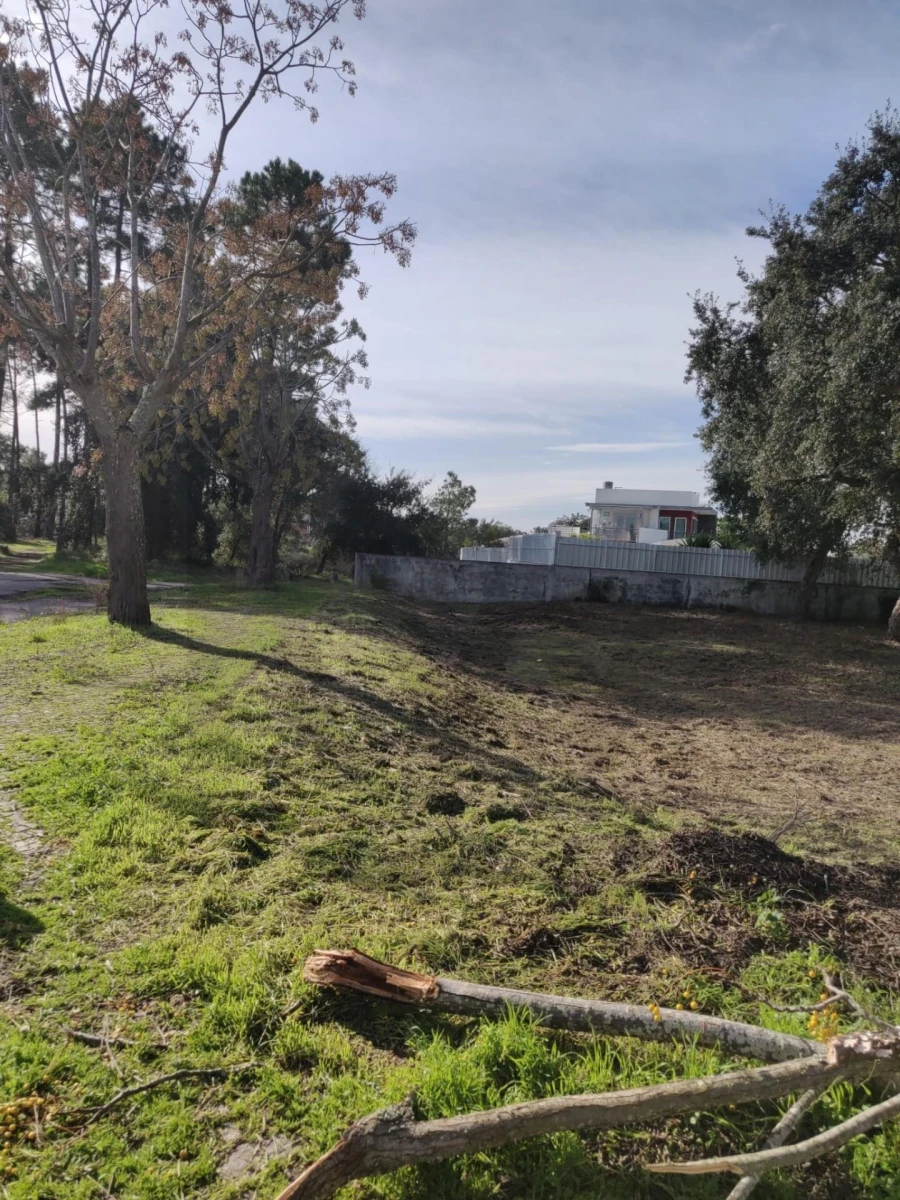 Terreno para Venda em Azeitão (São Lourenço e São Simão) Foto 11