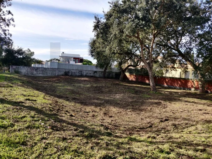 Terreno para Venda em Azeitão (São Lourenço e São Simão) Foto 4
