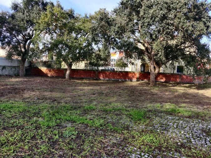 Terreno para Venda em Azeitão (São Lourenço e São Simão) Foto 1