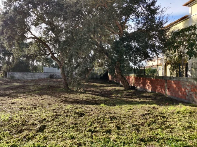 Terreno para Venda em Azeitão (São Lourenço e São Simão) Foto 3