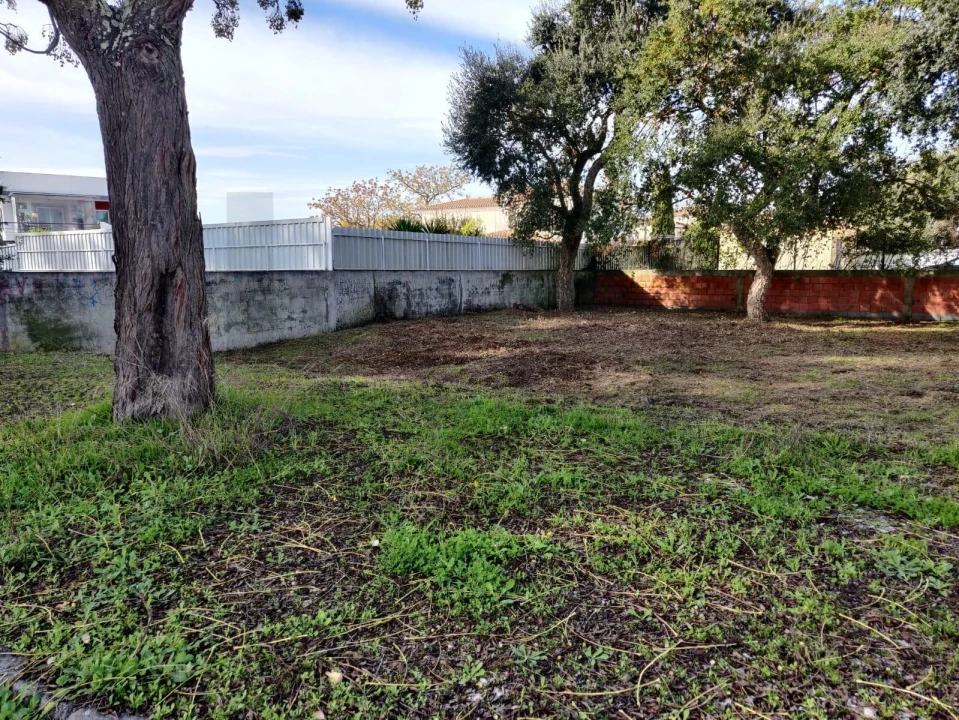 Terreno para Venda em Azeitão (São Lourenço e São Simão) Foto 6