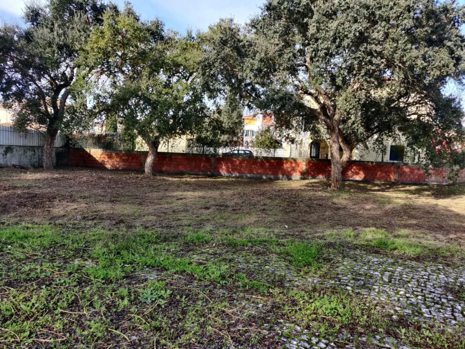 Terreno para Venda em Azeitão (São Lourenço e São Simão) Foto 1