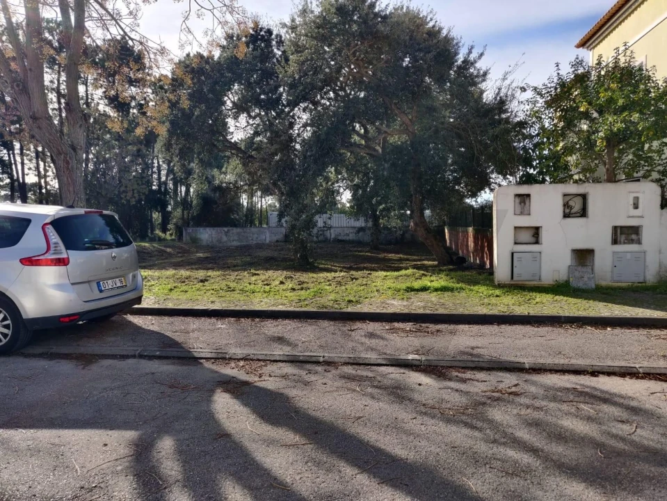 Terreno para Venda em Azeitão (São Lourenço e São Simão) Foto 5