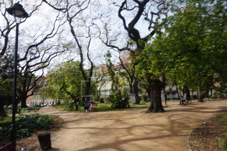 Apartamento T3 para Venda em Estrela Foto 12