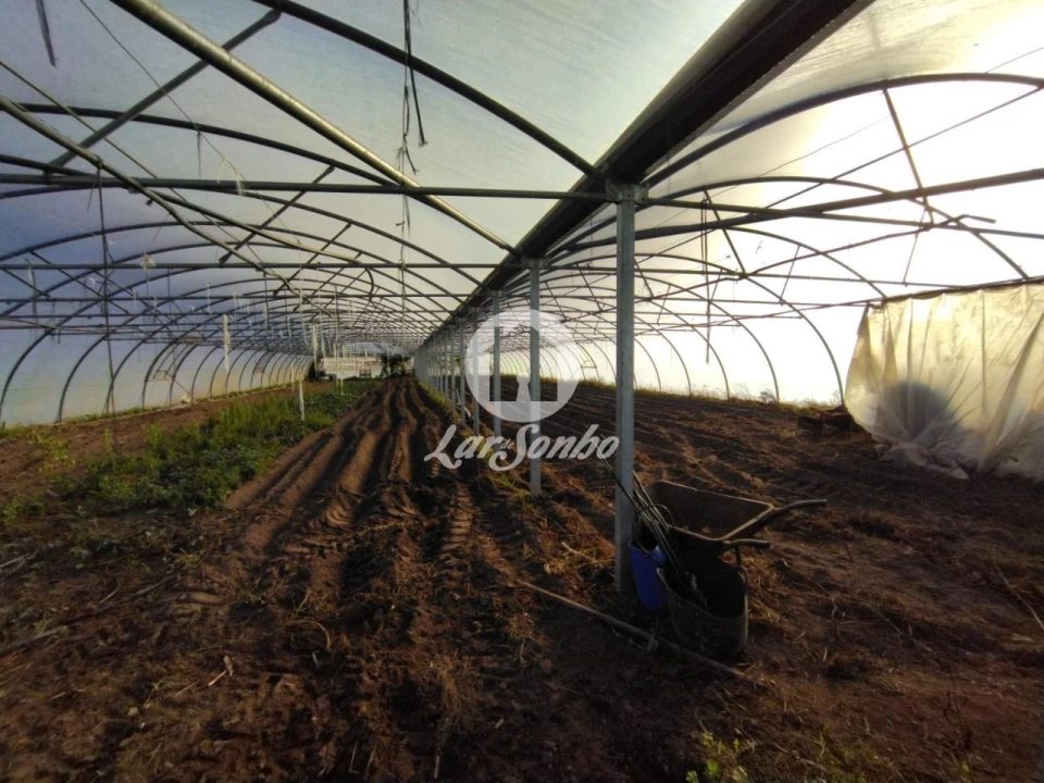 Terreno Agricola ou Rústico para Venda em Aguçadoura e Navais Foto 3