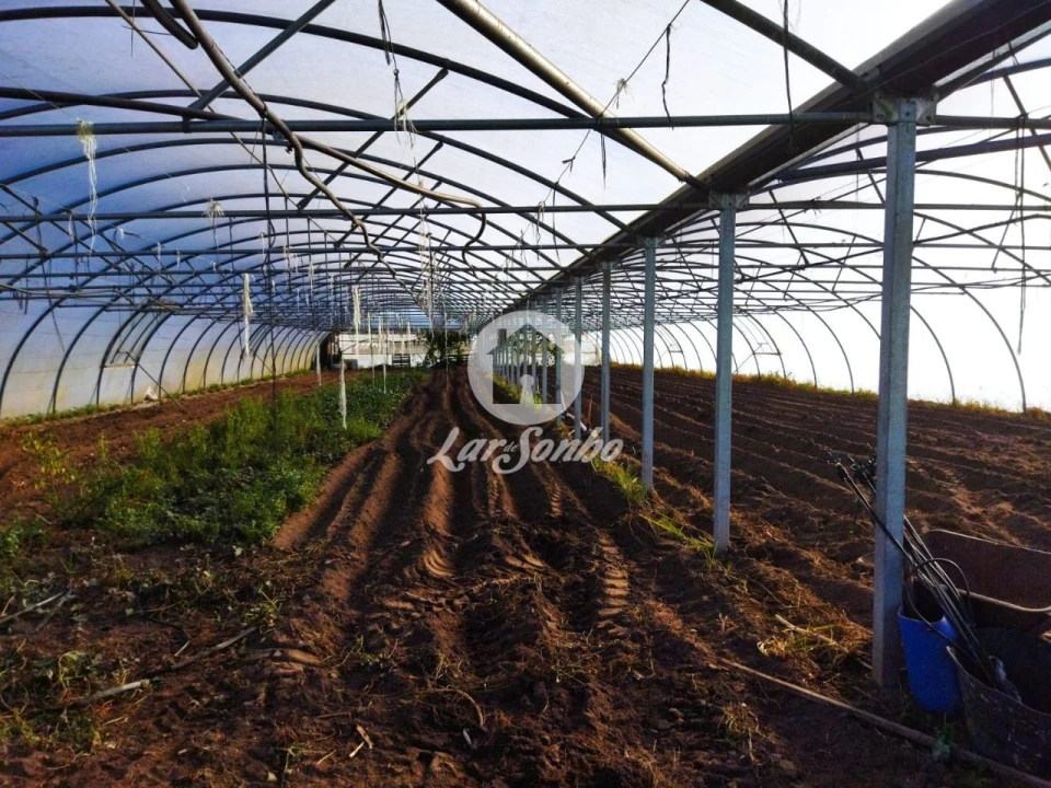 Terreno Agricola ou Rústico para Venda em Aguçadoura e Navais Foto 4