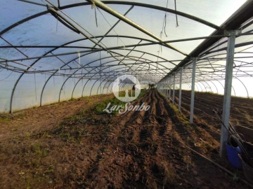 Terreno Agricola ou Rústico para Venda em Aguçadoura e Navais
