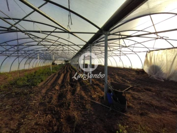 Terreno Agricola ou Rústico para Venda em Aguçadoura e Navais