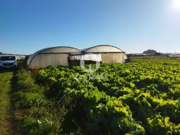 Terreno Agricola ou Rústico para Venda em Aguçadoura e Navais