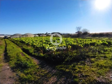 Terreno Agricola ou Rústico para Venda em Aguçadoura e Navais