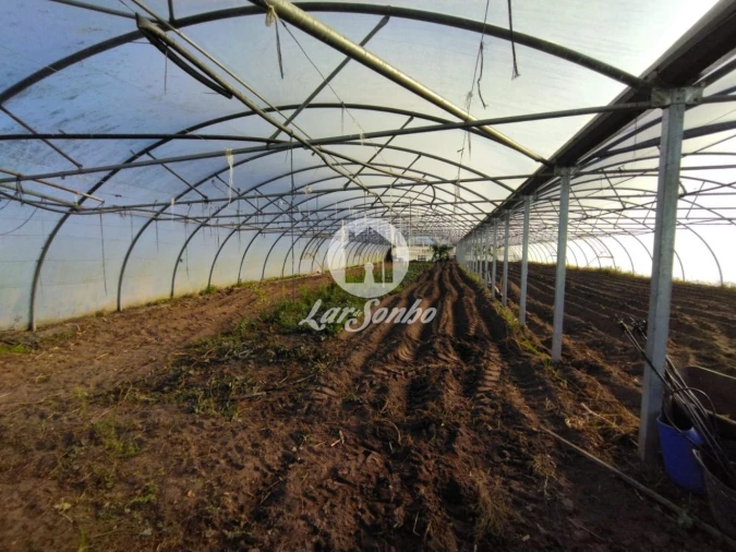 Terreno Agricola ou Rústico para Venda em Aguçadoura e Navais Foto 2