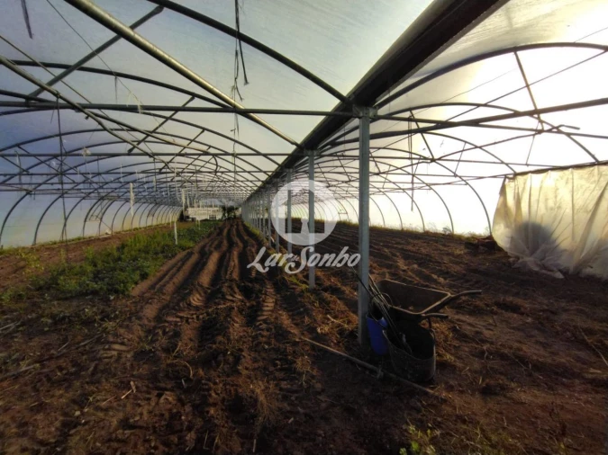Terreno Agricola ou Rústico para Venda em Aguçadoura e Navais Foto 3