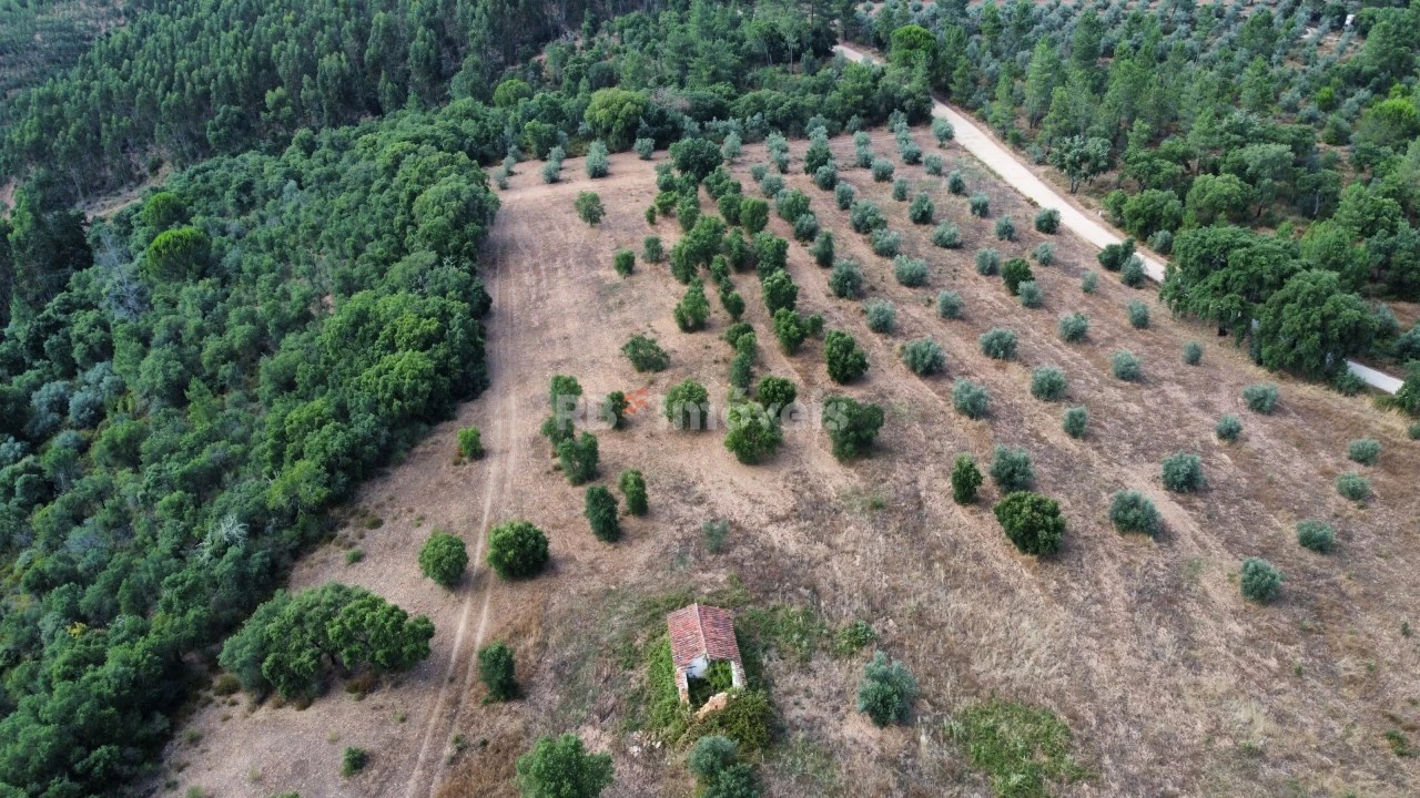 Terreno Agricola ou Rústico para Venda em Constancia Foto 1