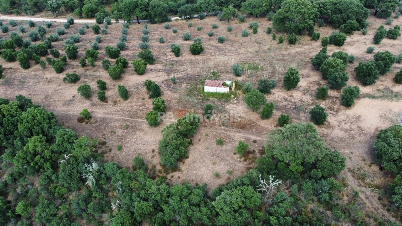 Terreno Agricola ou Rústico para Venda em Constancia Foto 2