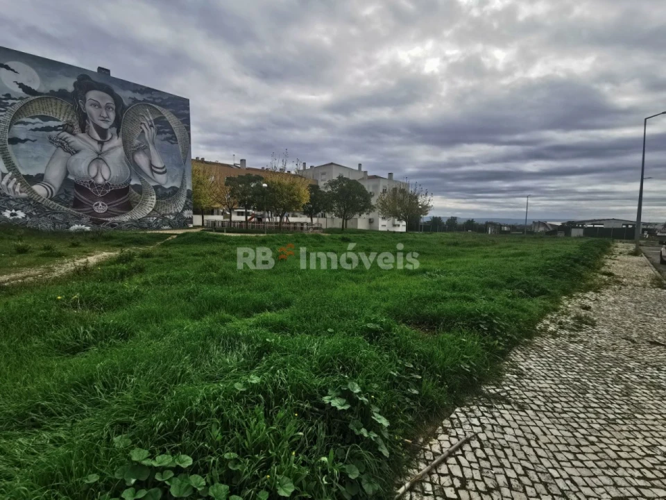 Terreno para Venda em Vila Nova da Barquinha Foto 2