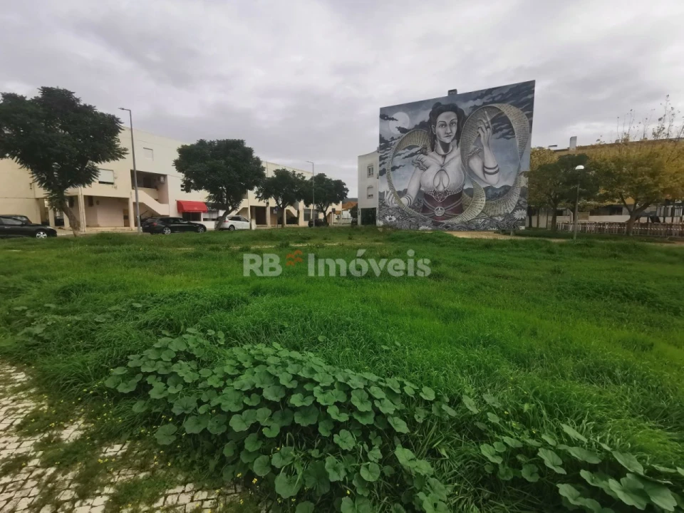 Terreno para Venda em Vila Nova da Barquinha Foto 3