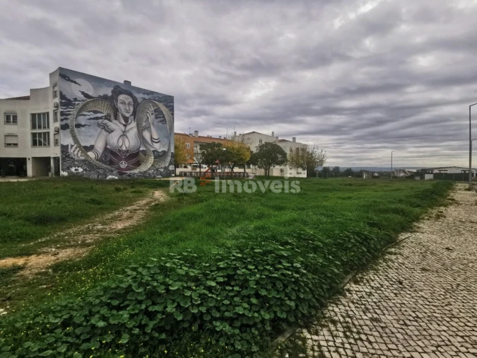 Terreno para Venda em Vila Nova da Barquinha Foto 6